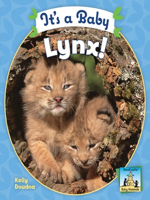 cover image of It's a Baby Lynx